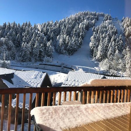 Appartement Aux Pieds Des Pistes De Ski Laveissière エクステリア 写真