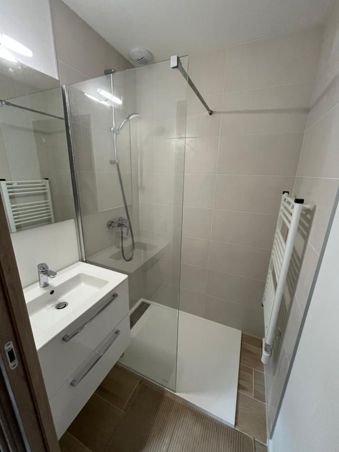 Appartement Aux Pieds Des Pistes De Ski Laveissière エクステリア 写真