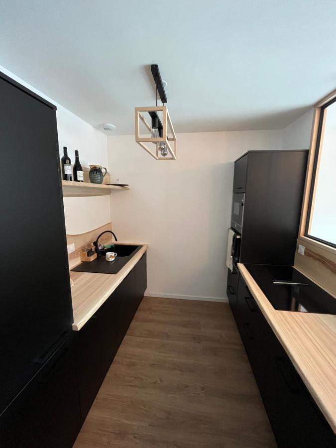 Appartement Aux Pieds Des Pistes De Ski Laveissière エクステリア 写真