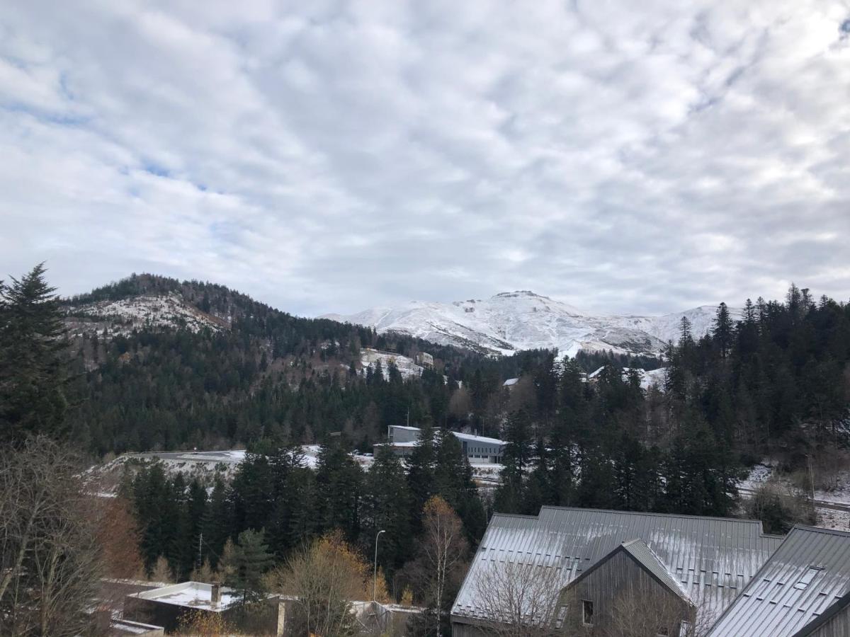 Appartement Aux Pieds Des Pistes De Ski Laveissière エクステリア 写真