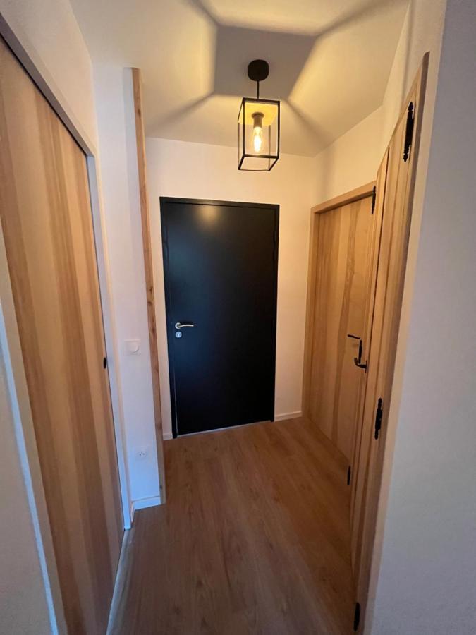 Appartement Aux Pieds Des Pistes De Ski Laveissière エクステリア 写真