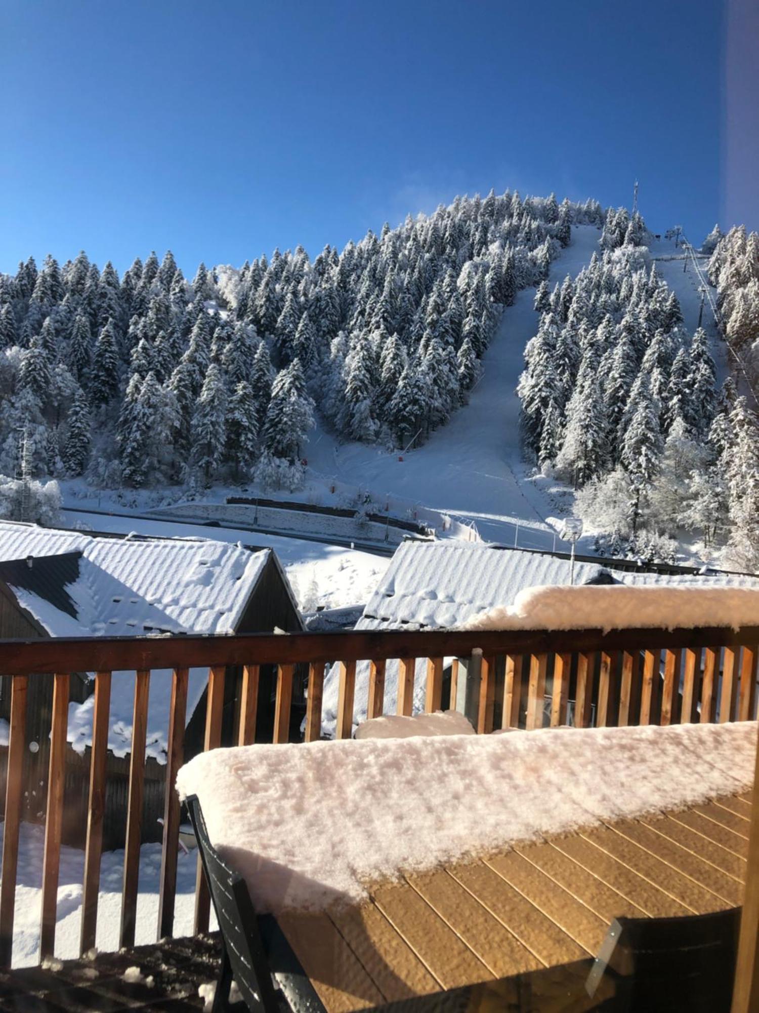 Appartement Aux Pieds Des Pistes De Ski Laveissière エクステリア 写真