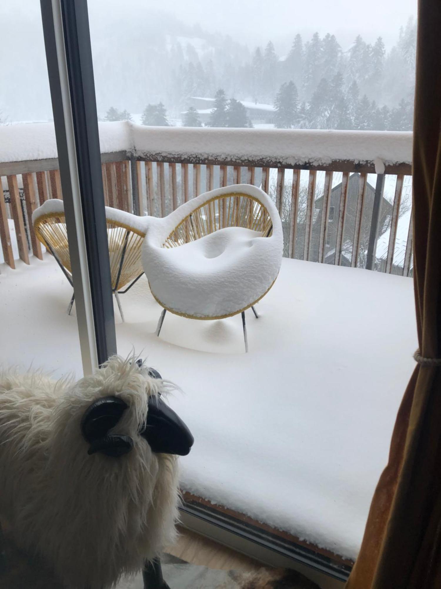 Appartement Aux Pieds Des Pistes De Ski Laveissière エクステリア 写真